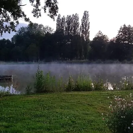Domaine De La Basse Bobiniere - Et D'hotes Thouarsais-Bouildroux
